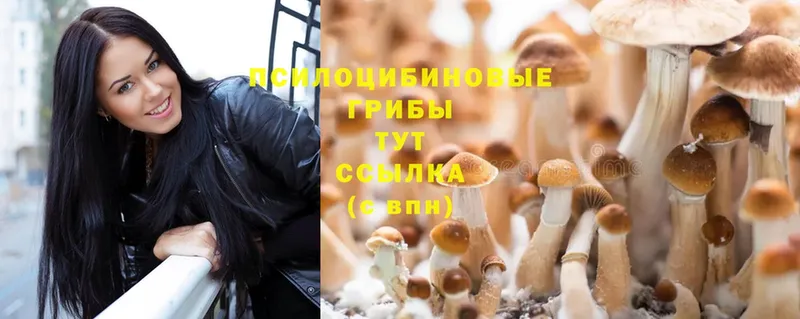 Галлюциногенные грибы MAGIC MUSHROOMS  Борзя 